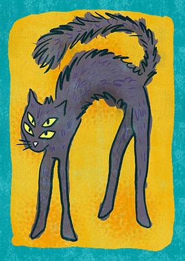 Four-Eyed Cat Illustration