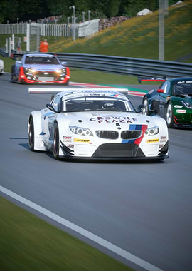 BMW Z4 GT3 Race Car on Track