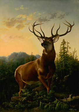 Majestic Stag in Forest Painting 1876