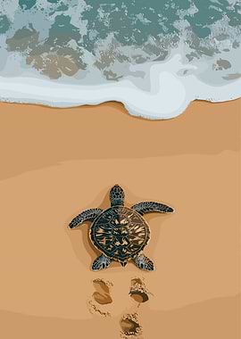Sea Turtle Hatchling on Beach
