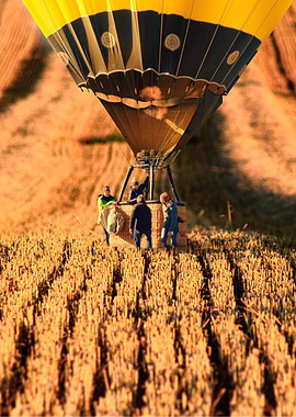 Hot Air Balloon over Wheat Field