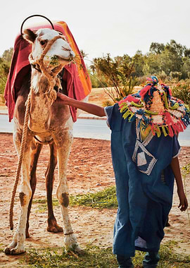 Camel and handler in Marrakech Morocco