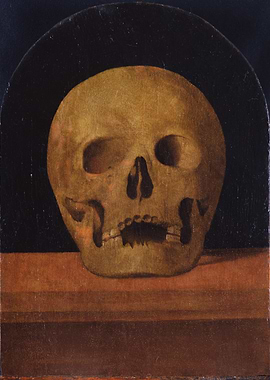 Skull Still Life Painting