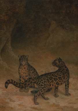 Two Leopards in a Dark Landscape