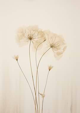 Floral Delicate Flowers