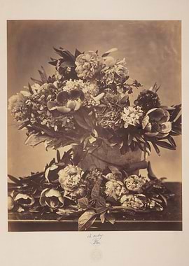 Vintage Floral Still Life Photograph