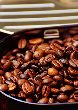 Roasted Coffee Beans
