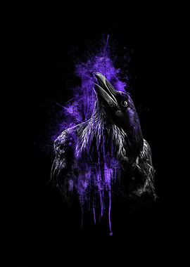 Raven with Purple Splatter on Black