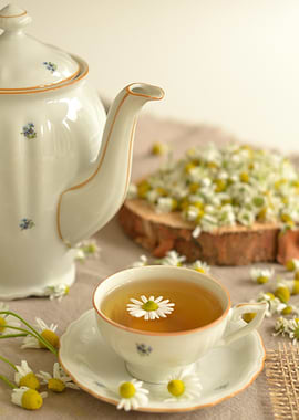 Chamomile Tea Still Life