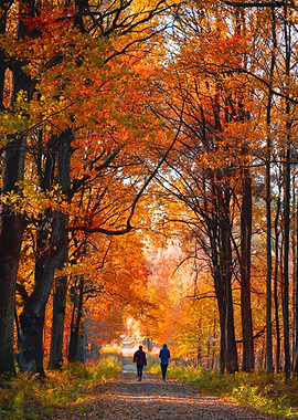 Autumn Walk in the Woods