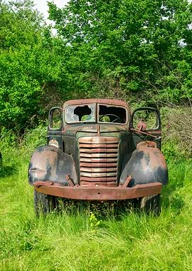 Abandoned Vintage Truck in Green Field