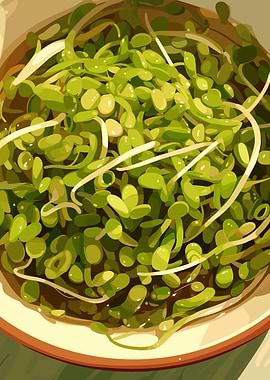 Fresh Green Sprouts in a Bowl