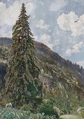 Landscape painting with tall fir tree