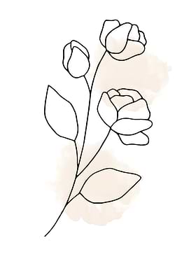 Minimalist Floral Line Art Illustration