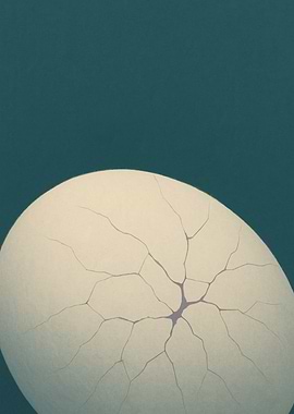 Cracked Egg on Dark Teal Background