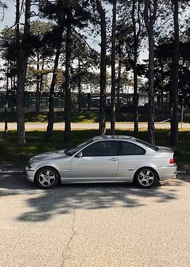 Silver BMW Coupe parked by trees