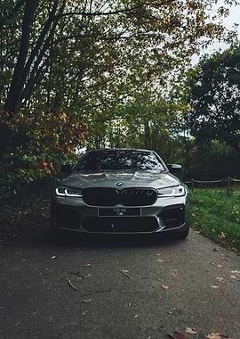 BMW M5 in Autumn Forest Setting
