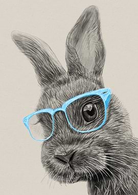 Rabbit with Glasses Pencil Drawing