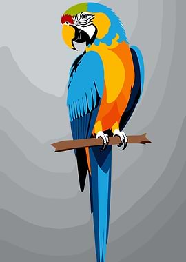 Colorful Macaw Parrot on Branch Illustration