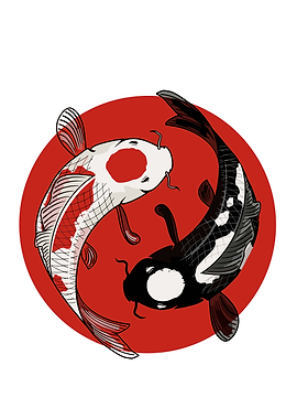 Yin Yang Koi Fish Illustration