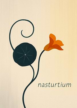 Nasturtium Flower Illustration