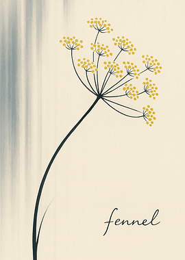 Fennel Flower Illustration