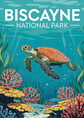 Biscayne National Park Turtle Illustration