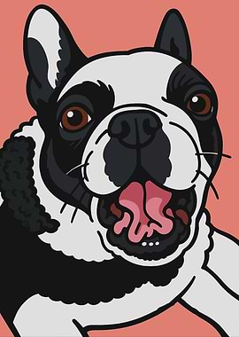 Cartoon Boston Terrier Portrait