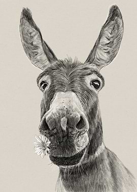 Donkey with Flower Pencil Drawing