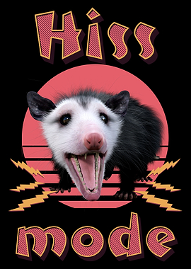 Hiss Mode Opossum Retro Design