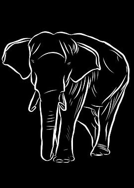 Elephant Line Art on Black Background