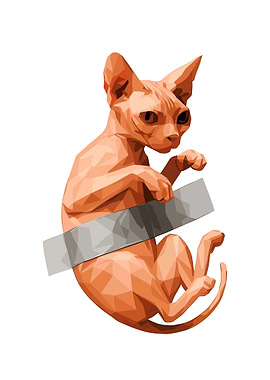 Sphynx Cat with Censor Bar