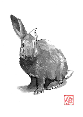 Ink Wash Painting of a Rabbit