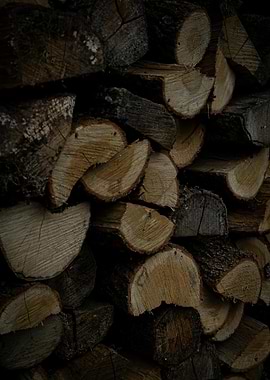 Stack of Cut Firewood Logs