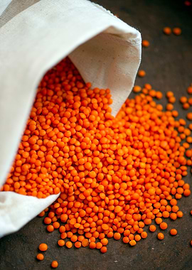 Red Lentils Spilling from a Sack