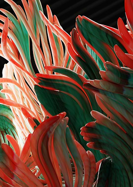 Abstract Coral Reef Close-Up