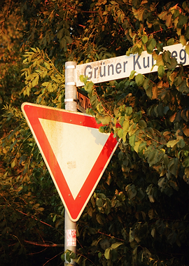 Yield Sign and Street Sign