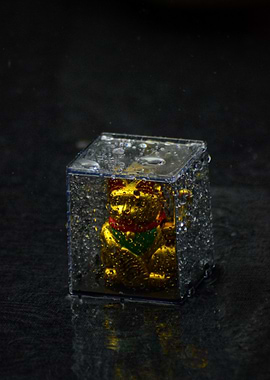 Maneki Neko in a Wet Cube