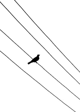 Bird on a Wire Silhouette