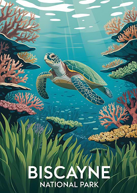 Biscayne National Park Turtle Illustration