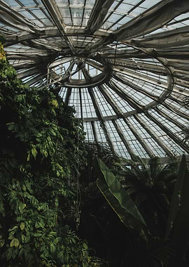 Botanical Garden Interior with Glass Dome