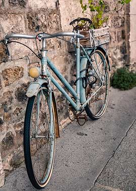 Vintage Bicycle with Plant Decor