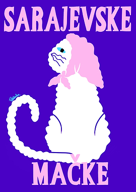 Sarajevske Macke Sarajevo Cat Art