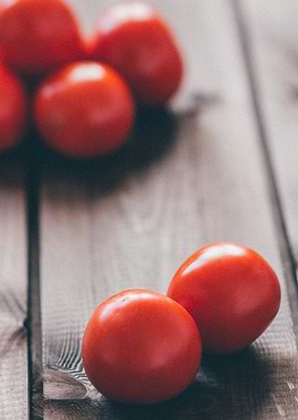 Fresh Red Tomatoes