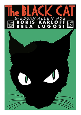 The Black Cat Movie Poster