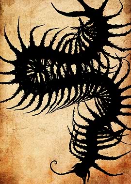 Creepy Centipede Silhouette on Parchment
