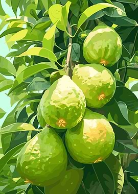 Green Citrus Fruit on a Branch