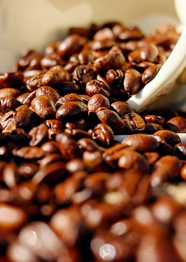 Roasted Coffee Beans