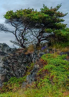 Rocky Cliffside with Tree and Flowers