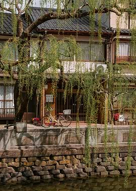 Japanese House with Bicycle and Willow